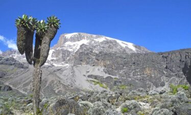 KILI CLIMB – LEMOSHO ROUTE (10 DAYS CLIMB)