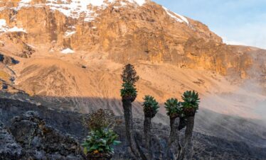 KILIMANJARO CLIMB ITINERARY – 5 DAYS MARANGU ROUTE