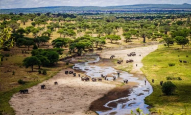  3 DAYS TARANGIRE & NGORONGORO MID-RANGE SAFARI