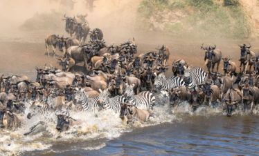 5 DAYS TANZANIA HIGHLIGHTS MID-RANGE SAFARI