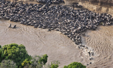7 DAYS THE NORTHERN CIRCUIT EXTENDED SAFARI
