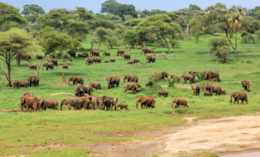  7 DAYS THE NORTHERN CIRCUIT EXTENDED SAFARI