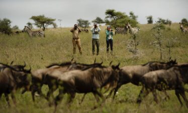 7 DAYS THE CRATER, SERENGETI & CULTURAL LUXURY SAFARI