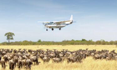  5 DAYS SERENGETI FLY-OUT LUXURY SAFARI