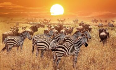 5 DAYS THE SERENGETI & NGORONGORO LUXURY SAFARI